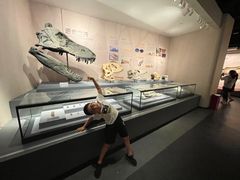 -自贡恐龙博物馆