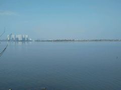 -瑶湖郊野森林公园