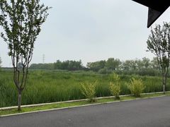 -永定河休闲森林公园