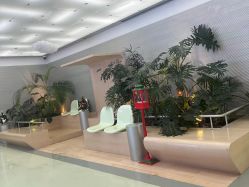 -纯粹医美