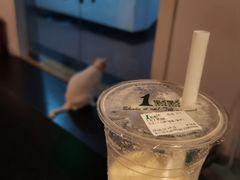 -Doors独立剧情密室(东门分店)