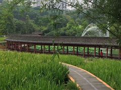 -龙头寺公园