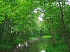 -西溪南古村落景区