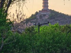 -北坞公园