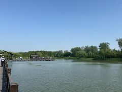 -溱湖国家湿地公园