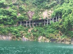 -蔡伦竹海