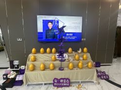 -金圣医疗美容
