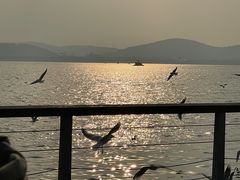 -蠡湖大桥公园