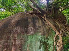 -草庵摩尼教遗址公园