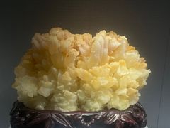 -湖南省地质博物馆