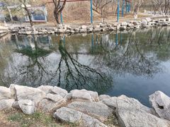 -百脉泉景区
