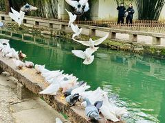 -西园戒幢律寺