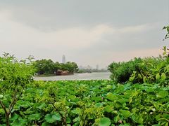 -济南大明湖景区