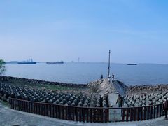 -上海滨江森林公园