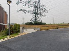 -王借岗森林公园