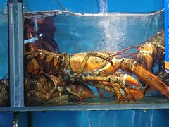 -海味当家·蒸锅海鲜(星海公园店)