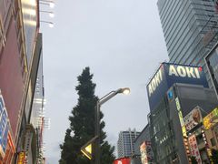 -秋叶原电器街