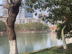-宝岛公园