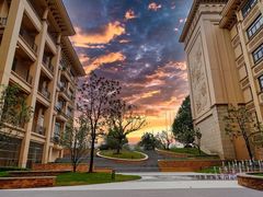 -上海星河湾双语学校