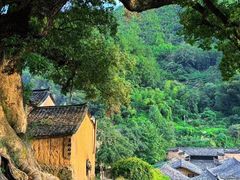 -杨家堂村
