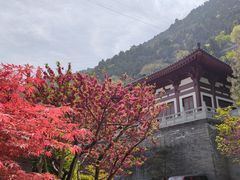 -华清宫景区