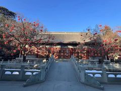 -香山公园