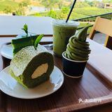 翠峰茶园虽然开车过来山路十八弯
