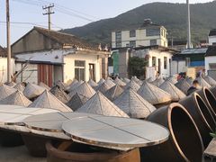 -苏州市吴中区光福窑上花果蜜饯厂