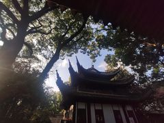-天一阁博物院