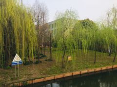 -新江湾城公园