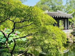-拙政园