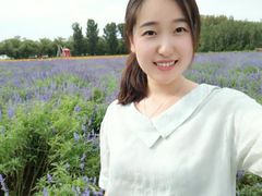 -北京东方普罗旺斯薰衣草庄园
