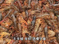 -黑金·寻焰自助百汇·烤肉·火锅(中街店)