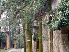 -象山森林公园