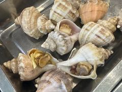 -胶东海鲜大排档(北太平庄店)