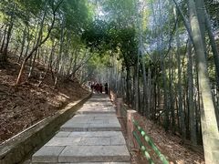 -敬亭山风景名胜区