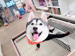 -BossBabe亲子餐厅(金光华广场店)