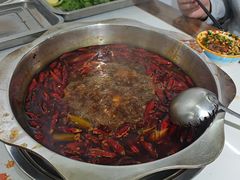 纯牛油红锅-金鼎雪山牦牛杂火锅(理县总店)