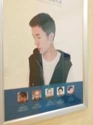 -碧莲盛·不剃发植发