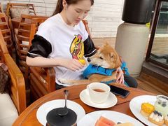 -上海崇明金茂凯悦酒店