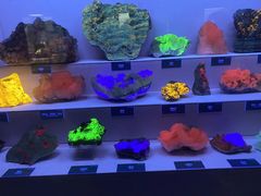 -湖南省地质博物馆