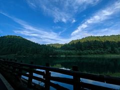 -武陵山森林公园