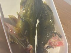 -铭记蛙小仙·活蛙畅享(CBD万达广场店)