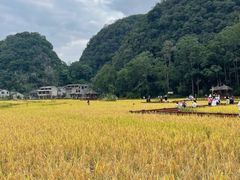 -高荡千年布依古寨旅游景区