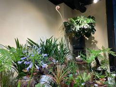 -溪岸路花鸟市场