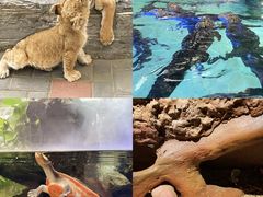 -北京野生动物园