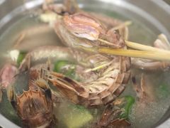 盐水濑尿虾-贞姨美食·老字号海鲜大排档