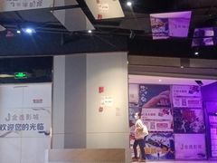 -上海金逸影城(静安大悦城店（原新恒星影城）)