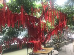 -小洲村