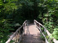 -香炉山国家森林公园